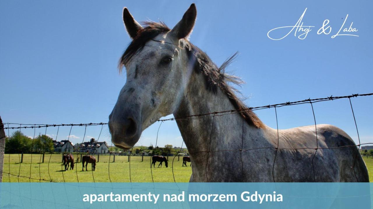 Appartamento Laba - Basen, Blisko Plazy, Cisza, Taras, Parking, Bezplatne Wifi, Wyjatkowy! Gdynia Esterno foto
