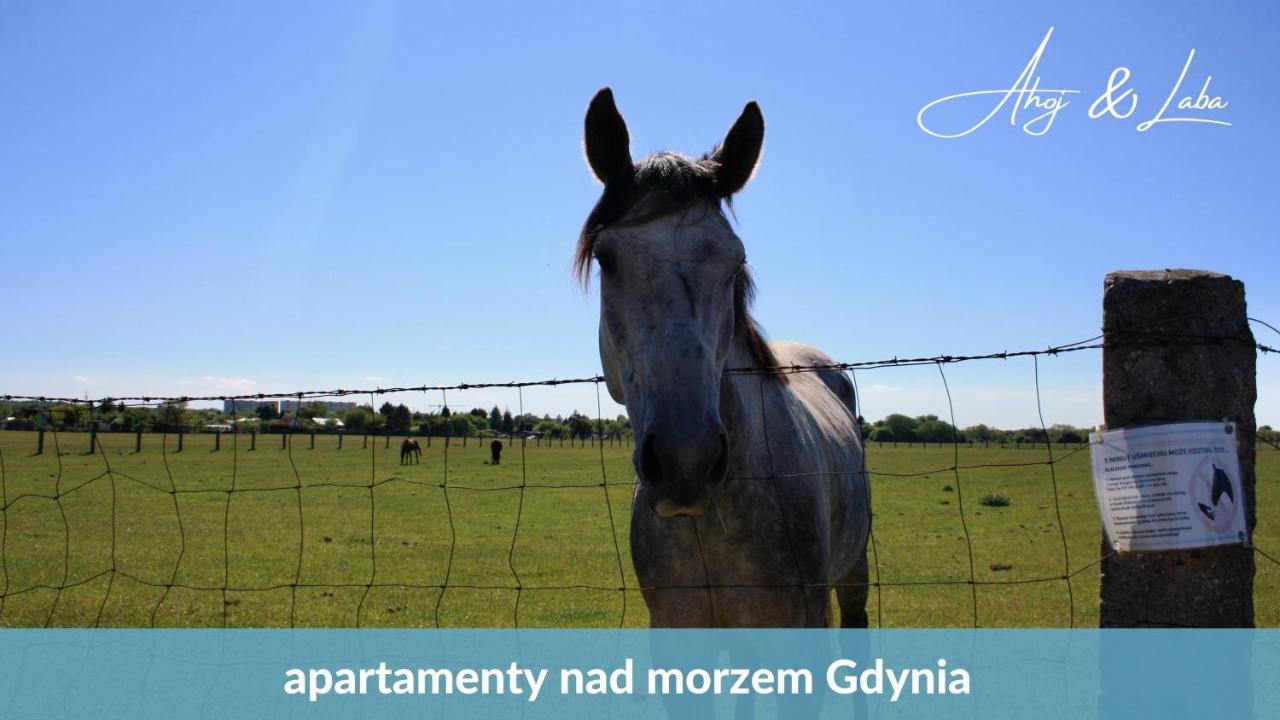 Appartamento Laba - Basen, Blisko Plazy, Cisza, Taras, Parking, Bezplatne Wifi, Wyjatkowy! Gdynia Esterno foto