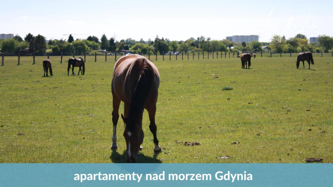 Appartamento Laba - Basen, Blisko Plazy, Cisza, Taras, Parking, Bezplatne Wifi, Wyjatkowy! Gdynia Esterno foto